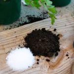 انواع خاک گلدان، خاک مناسب برای رشد گیاهان خانگی چیست؟
